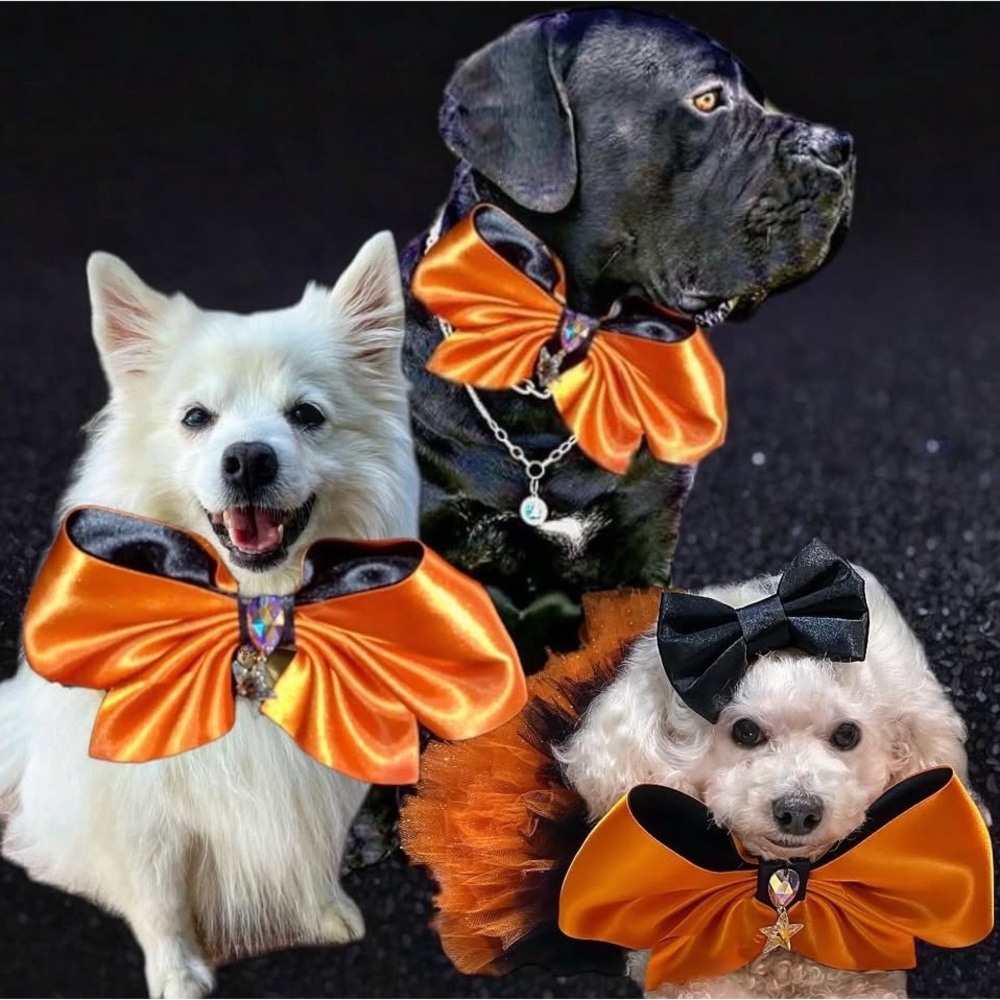 Furdrobe Clara Pet Bow, ONLY 2 MADE {FOR A HALLOWEEN.}